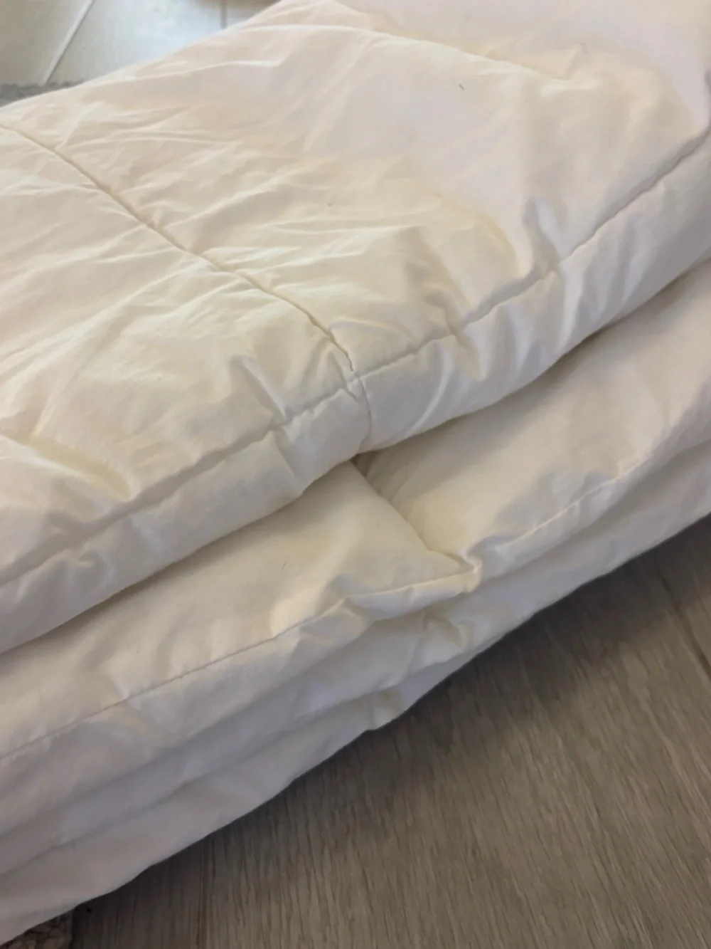 Pottery Barn Twin Paisley Duvet Cover + Serta Twin Comforter Insert